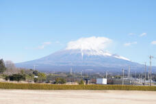 184726_1.jpg  : 289 KB