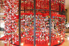 184727_2.jpg  : 171 KB