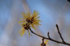 184731_1.jpg  : 18 KB