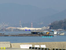 184741_2.jpg  : 35 KB