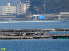 184741_3.jpg  : 46 KB