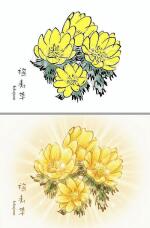 184754_1.jpg  : 113 KB