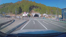 184769_1.jpg  : 206 KB