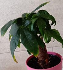 184773_1.jpg  : 39 KB