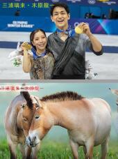 184790_1.jpg  : 144 KB