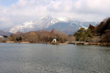 184792_1.jpg  : 75 KB