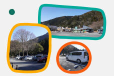 184794_1.jpg  : 171 KB