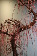 184796_1.jpg  : 198 KB