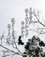 184798_1.jpg  : 181 KB