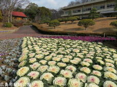 184806_1.jpg  : 97 KB