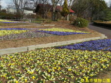 184806_3.jpg  : 116 KB