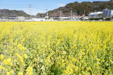 184815_1.jpg  : 416 KB