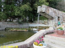 184823_2.jpg  : 82 KB