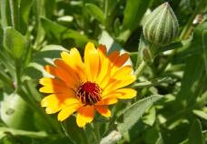 184826_3.jpg  : 60 KB