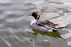 184830_2.jpg  : 48 KB