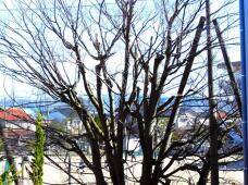 184832_1.jpg  : 276 KB