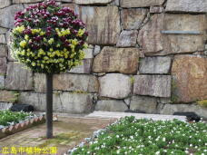 184844_1.jpg  : 94 KB