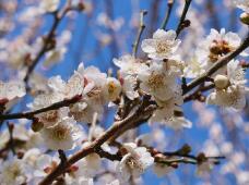 184846_2.jpg  : 73 KB