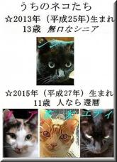 184852_3.jpg  : 66 KB