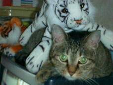 184854_1.jpg  : 24 KB