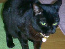 184854_2.jpg  : 174 KB