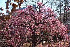 184872_1.jpg  : 89 KB