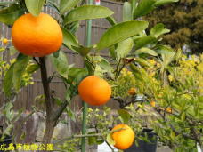 184878_1.jpg  : 67 KB