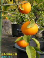 184878_2.jpg  : 63 KB