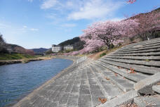 184883_1.jpg  : 270 KB