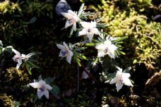 184884_3.jpg  : 104 KB