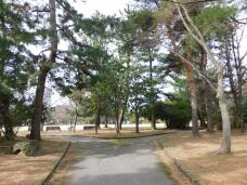 184887_1.jpg  : 233 KB