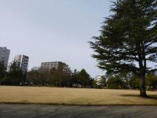 184887_2.jpg  : 143 KB