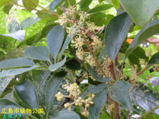 184892_3.jpg  : 63 KB