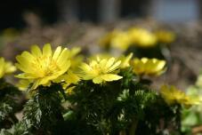 184895_3.jpg  : 53 KB