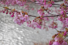 184896_2.jpg  : 151 KB