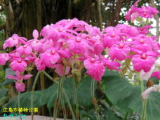 184908_1.jpg  : 56 KB