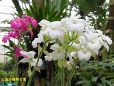 184908_3.jpg  : 53 KB