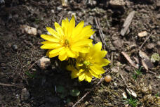 184913_2.jpg  : 104 KB