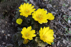 184913_3.jpg  : 82 KB