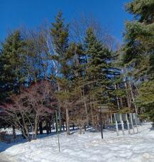 184914_1.jpg  : 76 KB