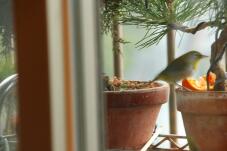 184920_2.jpg  : 88 KB