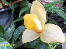 184931_2.jpg  : 42 KB