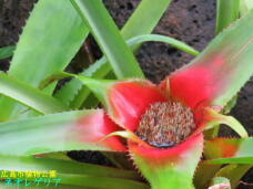 184931_3.jpg  : 44 KB