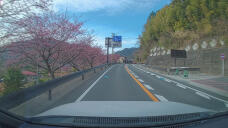 184937_1.jpg  : 185 KB