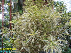 184943_2.jpg  : 118 KB