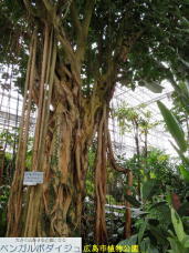 184943_3.jpg  : 89 KB