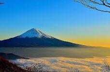 184944_2.jpg  : 59 KB