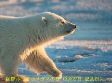 184944_3.jpg  : 67 KB