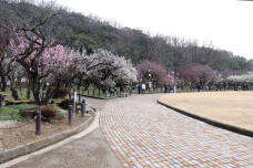 184947_1.jpg  : 112 KB