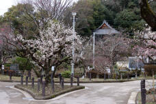 184947_2.jpg  : 138 KB